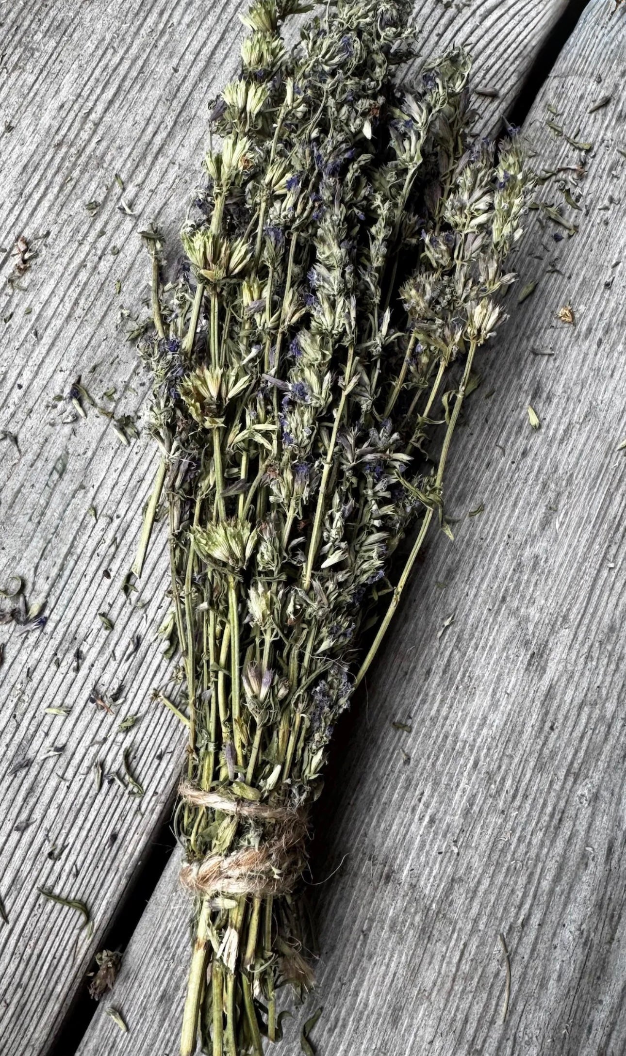 Dried Hyssop Bunched 150g (Hyssopus Officinalis)
