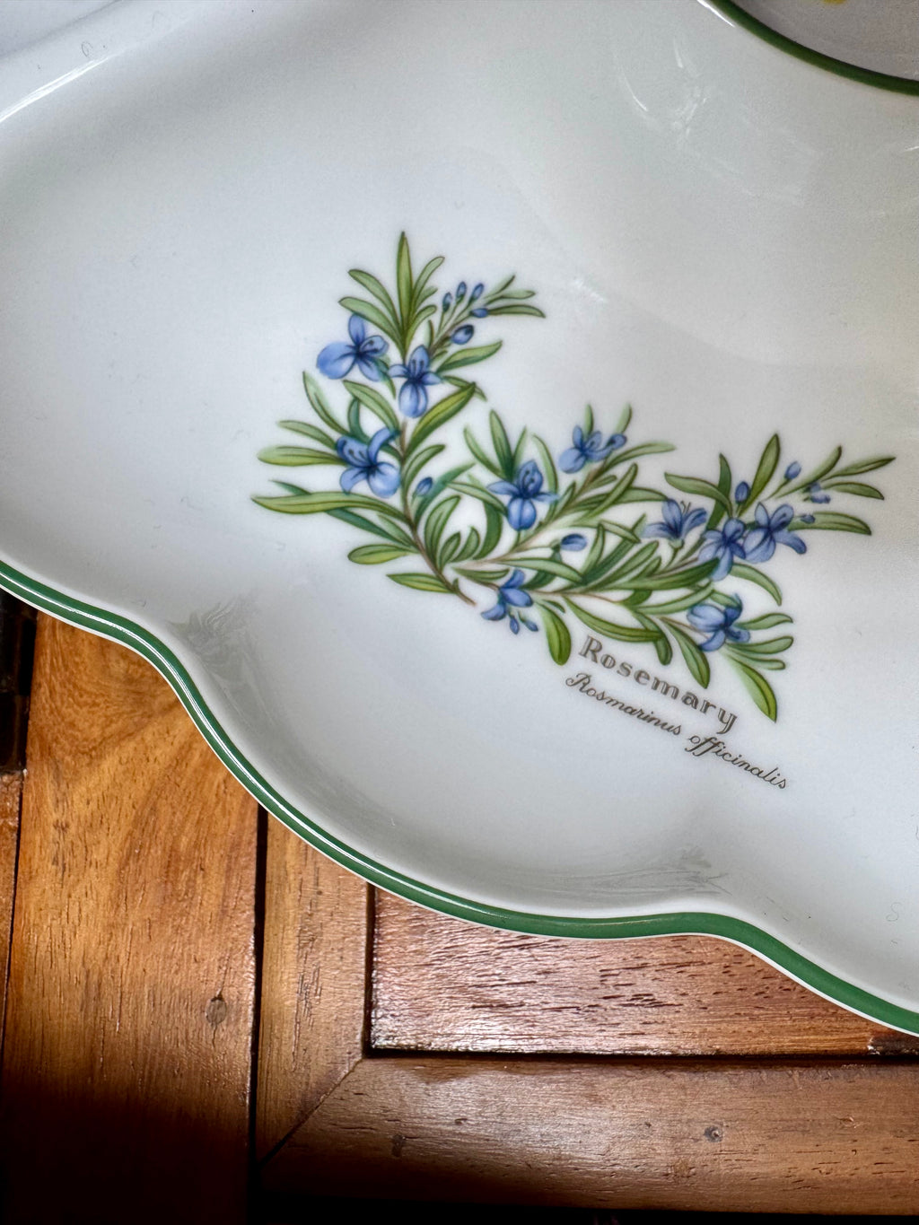 Royal Worcester Serving Dish “Worcester Herbs” Large Hors D’ouevre Dish (Made in England) - Unused
