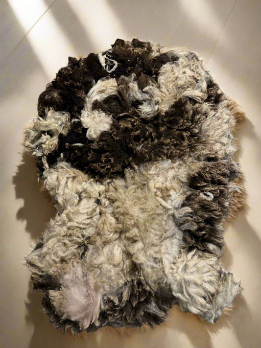 Jacob Sheep Fleece