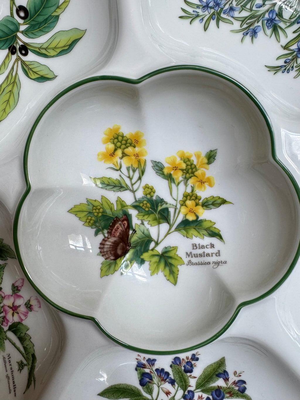 Royal Worcester Serving Dish “Worcester Herbs” Large Hors D’ouevre Dish (Made in England) - Unused