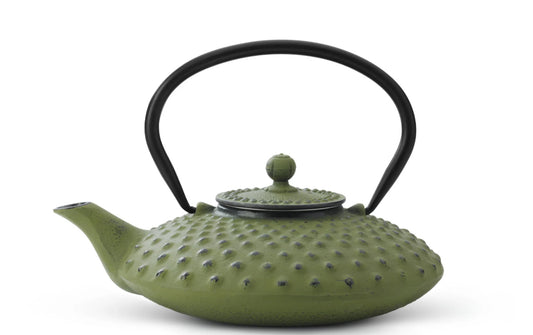 Bredemeijer Teapot Cast Iron Xilin 0,8L Green