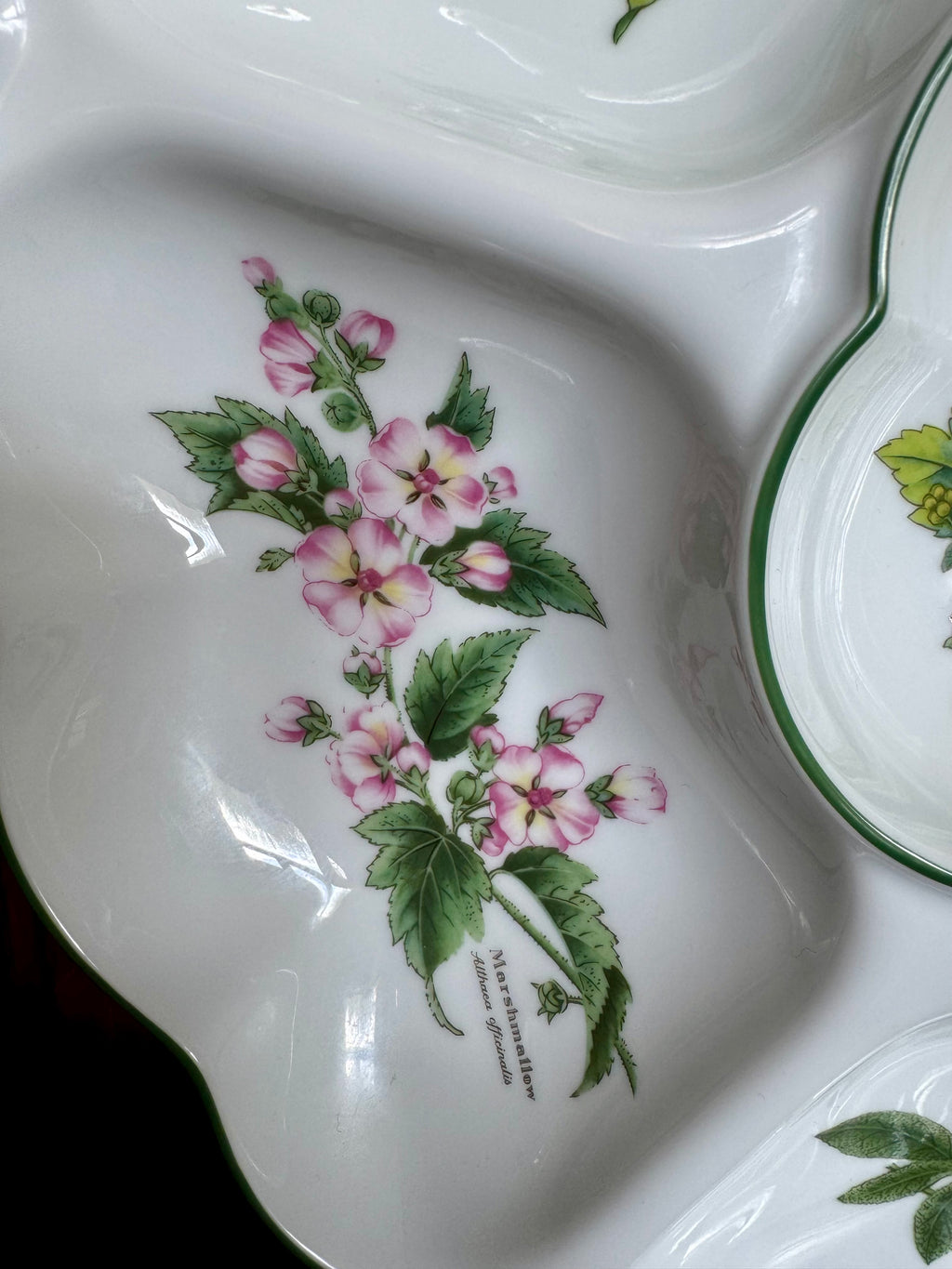 Royal Worcester Serving Dish “Worcester Herbs” Large Hors D’ouevre Dish (Made in England) - Unused