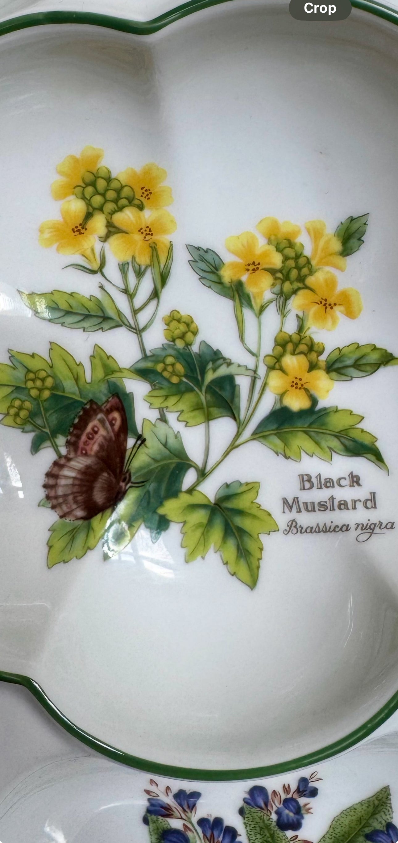 Royal Worcester Serving Dish “Worcester Herbs” Large Hors D’ouevre Dish (Made in England) - Unused