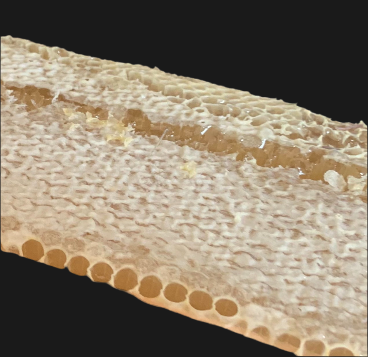Scottish Highlands Wildflower Honey One Full Frame - Raw Honey - Untreated Unheated Unpasteurised