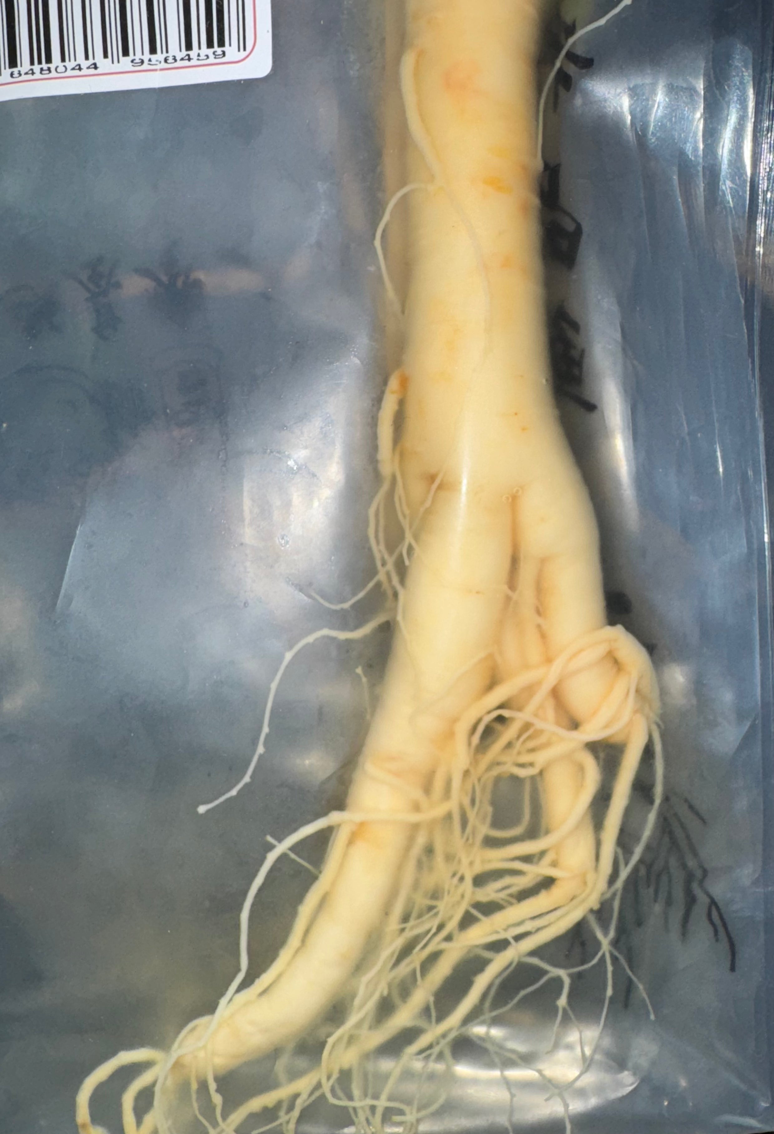 Fresh Ginseng Root (Panax Ginseng)